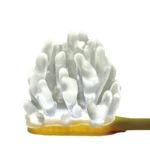 サンプル画像
