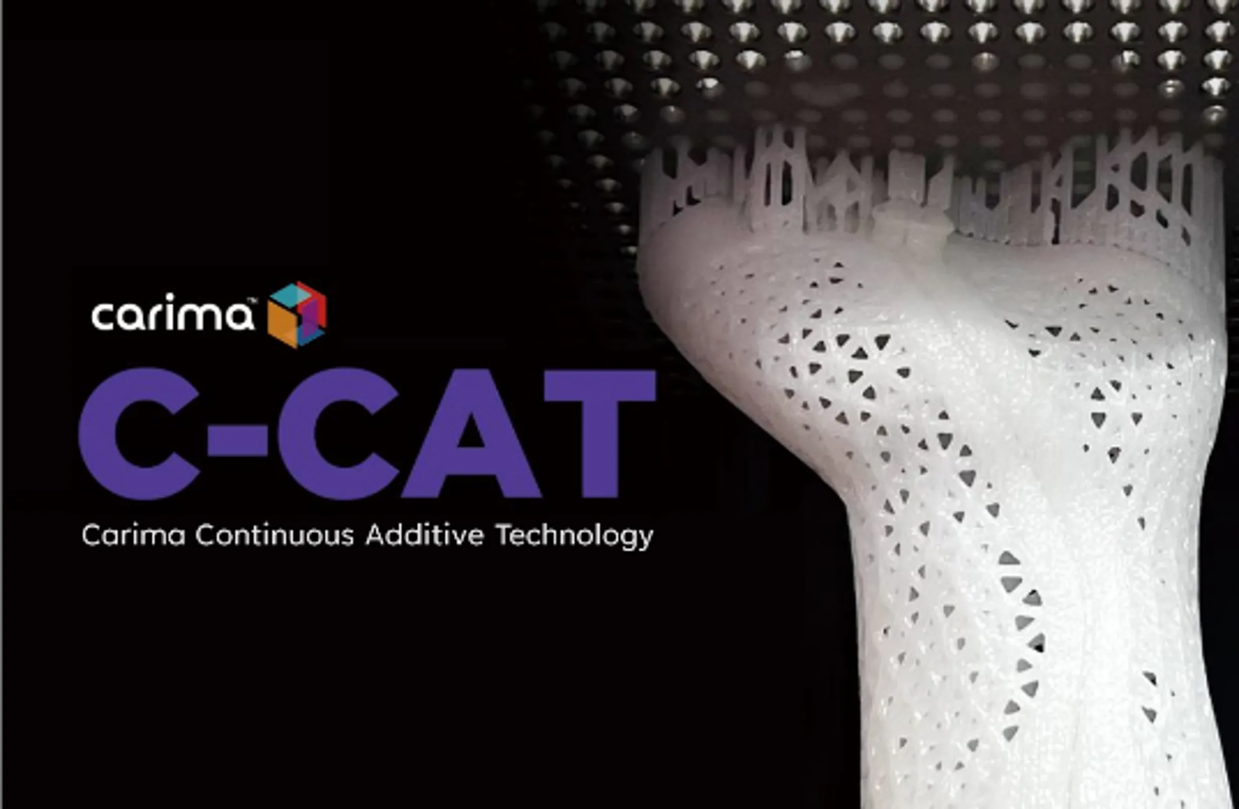 C-CAT